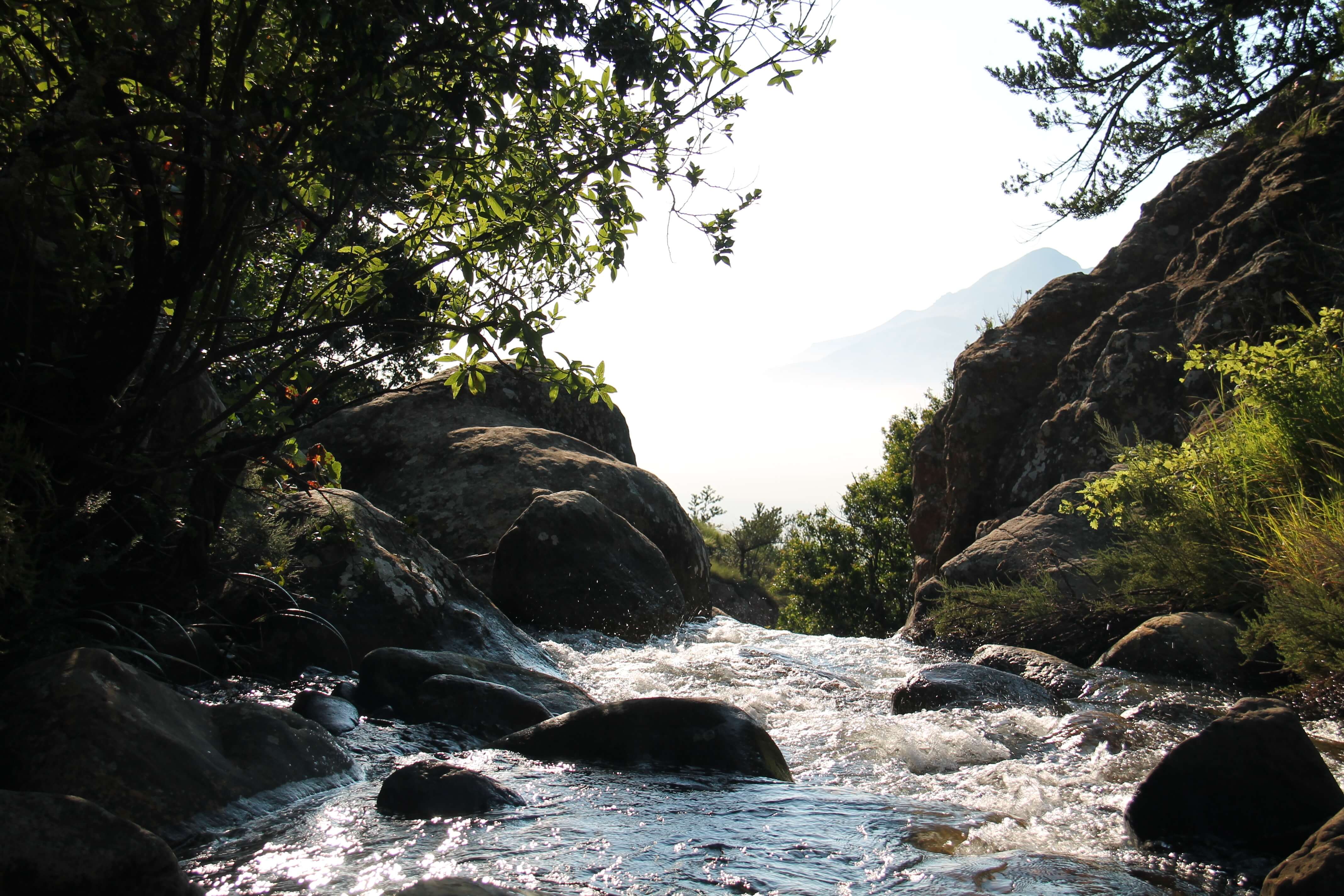 August Is Water Quality Month Gilman